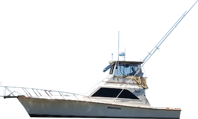 best boat tour charleston sc