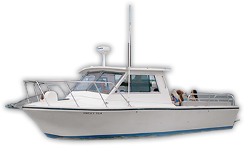 best boat tour charleston sc