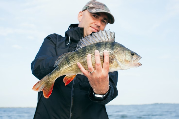 6 Fish You Can Catch in South Carolina During Spring